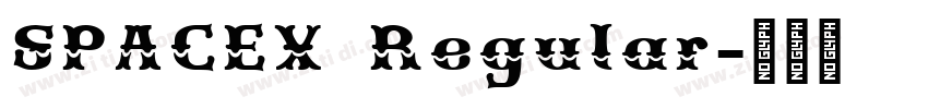SPACEX Regular字体转换